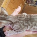 ���� �������, ������, 50 ��� - ��������� 22 ������� 2023