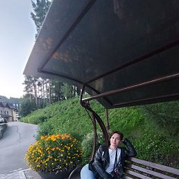 ���� �������, ����� �������, 50 ��� - ��������� 6 ������ 2026