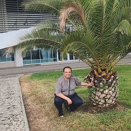 ������, ����, 43 ����