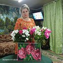 ���� �����, �����, 50 ��� - ��������� 20 ������ 2026