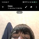 ���� ����, ������, 33 ���� - ��������� 27 ������ 2026 � ������ ���� ����������