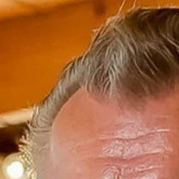 ����, ���������, 66 ���