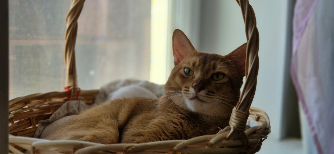 **** - 13  2025  11:44