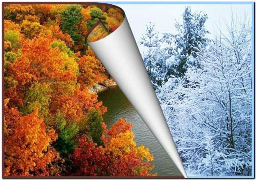   ,    . - 28  2025  22:20 - 2