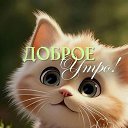   ,  , 50  -  22  2025    