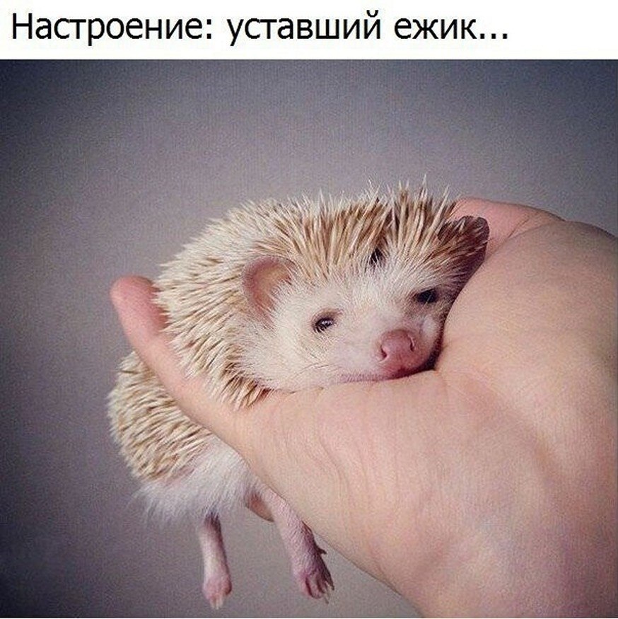 �����? ��, �� �������! - 18 ���� 2025 � 12:37