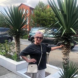 ������, ���������, 67 ���