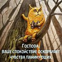 ���� ����, ������ - ��������� 18 ������ 2026 � ������ ������ ��������