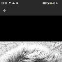 ���� �������, ������������, 42 ���� - ��������� 9 ����� 2025 � ������ ���� ����������
