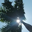 ���� �����, ��������, 64 ���� - ��������� 21 ������� 2024 � ������ ���� ����������