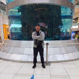 �������, ������, 48 ���