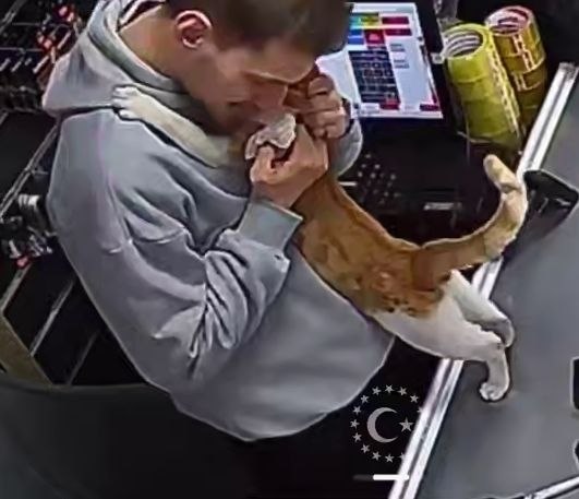������� ���������, ��� �������� ������ �� ���� �� ���������� ������� � ��������� �������� �� ����� ... - 3
