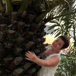 �����, �������, 57 ���