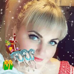�����, �������, 48 ���