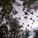 ���� �������, ���� - ��������� 10 ������� 2025