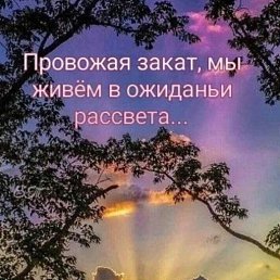 ���� �������, ������, 73 ���� - ��������� 3 ������� 2024