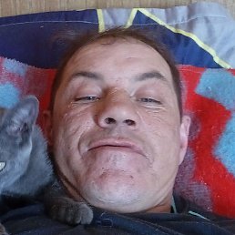 ������, ���������, 41 ���