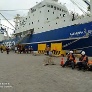 ������, 48 ���, �����������