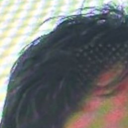 �������, ������, 51 ���