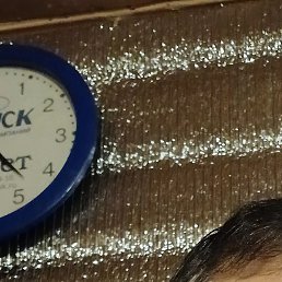 �������, ������, 67 ���