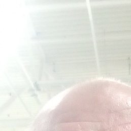 ������, ������, 56 ���