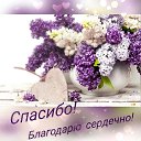 ���� �����, �����-���������, 61 ��� - ��������� 26 ������� 2026 � ������ ������ ��������