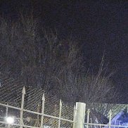 ������, 39 ���, ���������