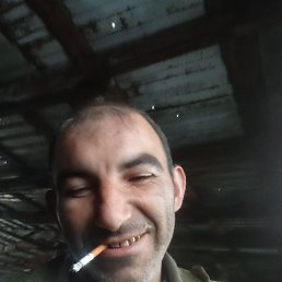 ������, 39 ���, ����������