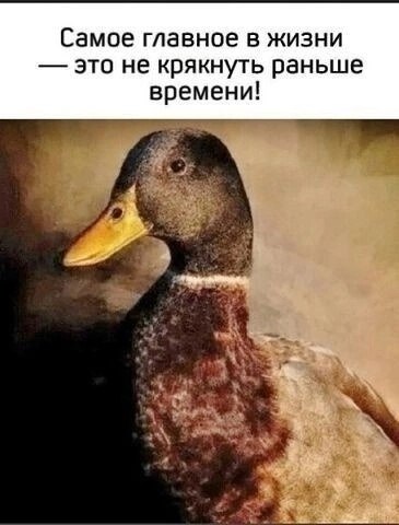 ������� �� �������� ������ �������.