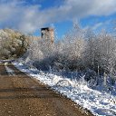 ���� ���, ������, 37 ��� - ��������� 10 ������ 2024 � ������ ������ ��������