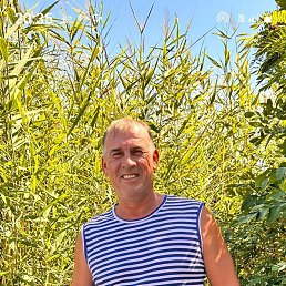 �����, 53 ����, ������-��-����