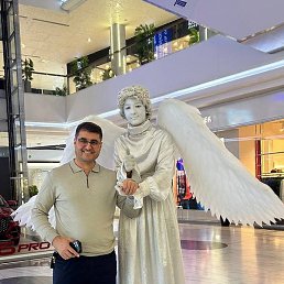 �����, �����-���������, 43 ����