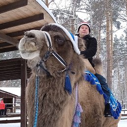 ���������, ������, 43 ����