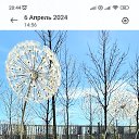 ���� ��������, ���������, 45 ��� - ��������� 20 ��� 2024 � ������ ���� ����������