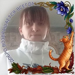 ���� �����, ������-��-����, 23 ���� - ��������� 27 ������� 2026