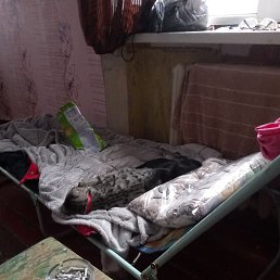 ���� ������, ������, 57 ��� - ��������� 31 ������� 2023