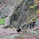 ���� �����, ����, 47 ��� - ��������� 19 ������ 2024 � ������ ���� ����������