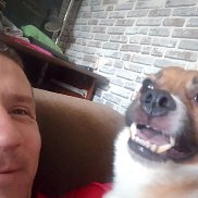 �������, 39 ���, ������