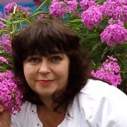  , 54,  