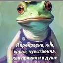 ���� ������, ������� ����� - ��������� 19 ������ 2026 � ������ ������ ��������