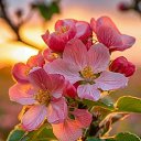 ���� �������, ������, 44 ���� - ��������� 9 ��� 2026 � ������ ������ ��������