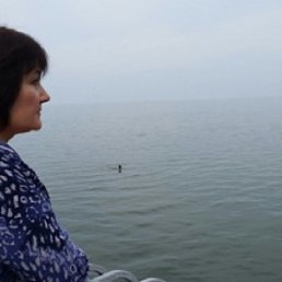 , 58, 