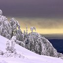 ���� ������, ����������� - ��������� 11 ����� 2026