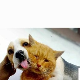  Vi, -, 52  -  30  2023