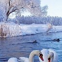 ���� ��������, �����������, 56 ��� - ��������� 21 ������� 2026 � ������ ������ ��������