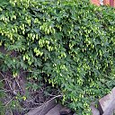 ���� ��������, ����������� - ��������� 22 ������ 2026