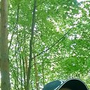 ���� �����, ���������, 41 ��� - ��������� 2 ���� 2025 � ������ ���� ����������