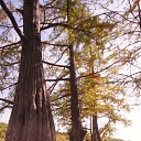 ���� ����� �������, ���������, 64 ���� - ��������� 3 ������� 2023 � ������ ���� ����������