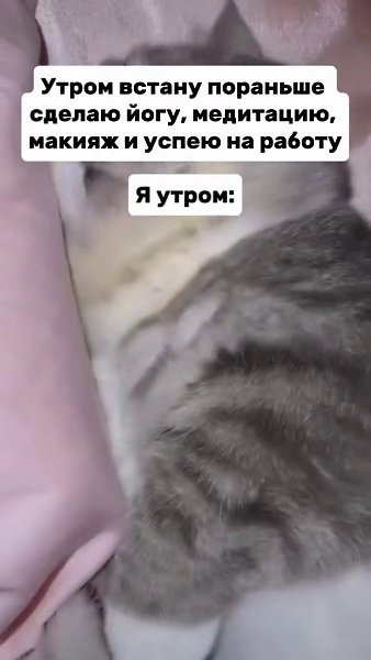 ���� ������ ������ �� ���� ���������, �� ������ ��������� ����� �� ���������) - 2