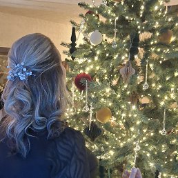 ���� �������, ���������, 40 ��� - ��������� 7 ������ 2026